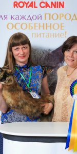 Всемирная выставка кошек, WCF, Россия 25-26 июня 2016г