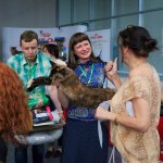 Всемирная выставка кошек, WCF, Россия 25-26 июня 2016г
