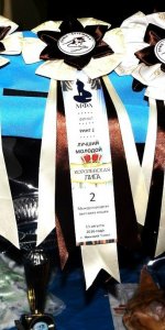 Ренесми - Лучший Молодой (Юниор)  на выставке "Королевская Лига" 13 августа 2016г.