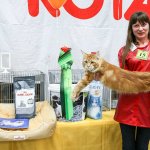 Выставка "Золотая кошка" 4-5 марта